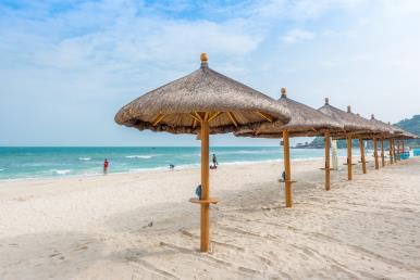 【五鉆版 三亞逍遙.爸媽樂】<南山、大小洞天、檳榔谷、天涯海角、西島、亞龍灣沙灘>4天晚對(duì)晚