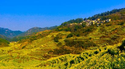 【煙雨徽州】九華山大愿文化園、太平湖 大美黃山（二次上山）、水墨宏村、秀里古村 夜游花山謎窟五天雙飛