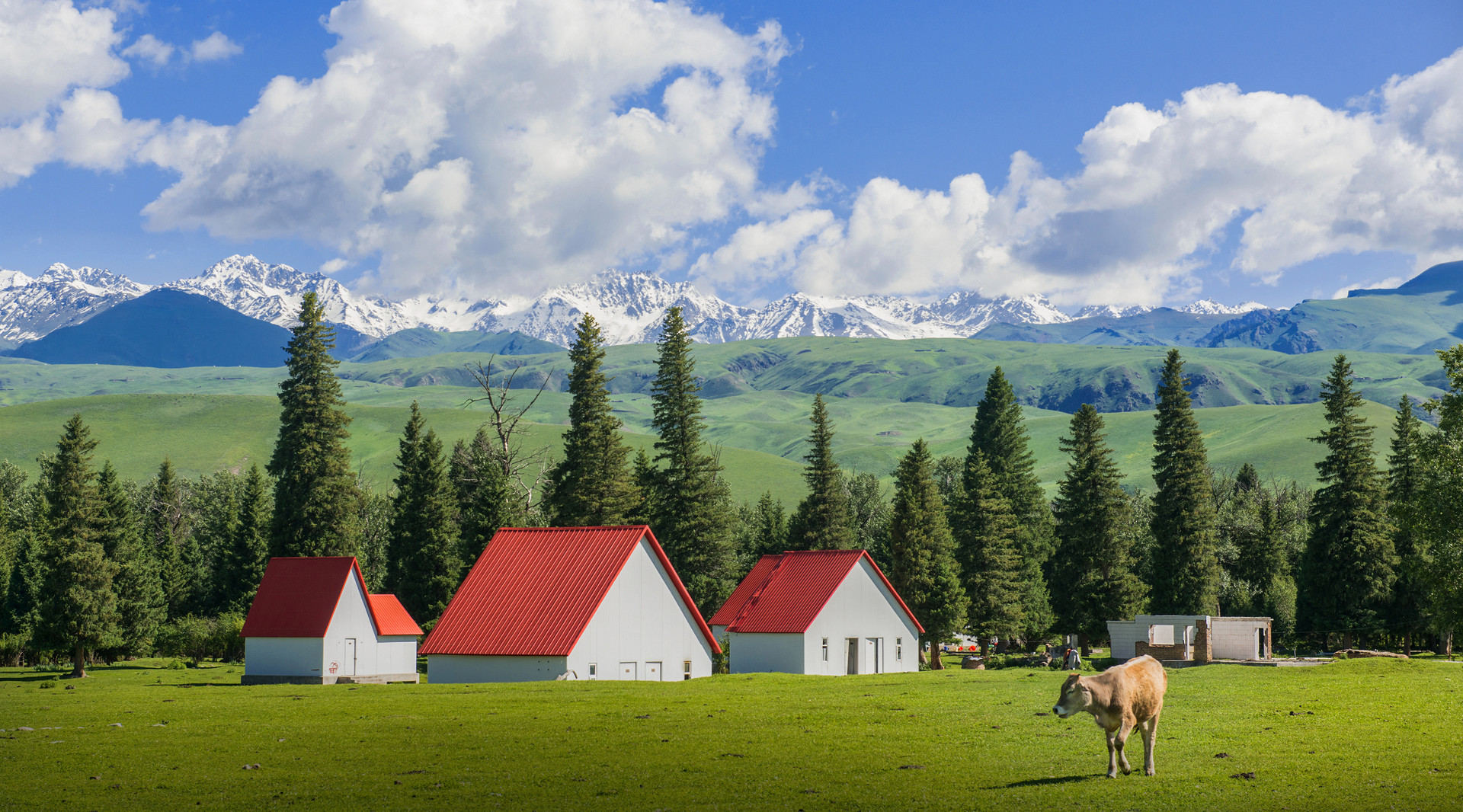 景點(diǎn)封面圖