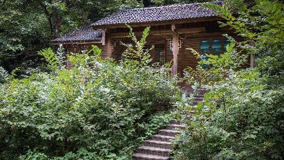 景點：龍虎山無蚊村