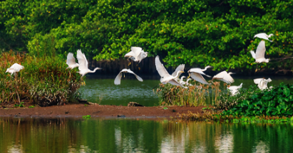 【江門陽江2天】<深中通道、無限次浸泡空中園林溫泉赤坎古鎮(zhèn)僑鄉(xiāng)國際旅游區(qū)天麓山海山頂攬勝、十里銀灘>