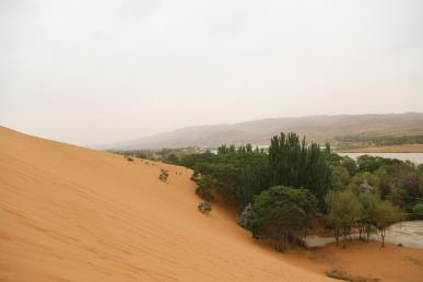 景點：中衛沙坡頭