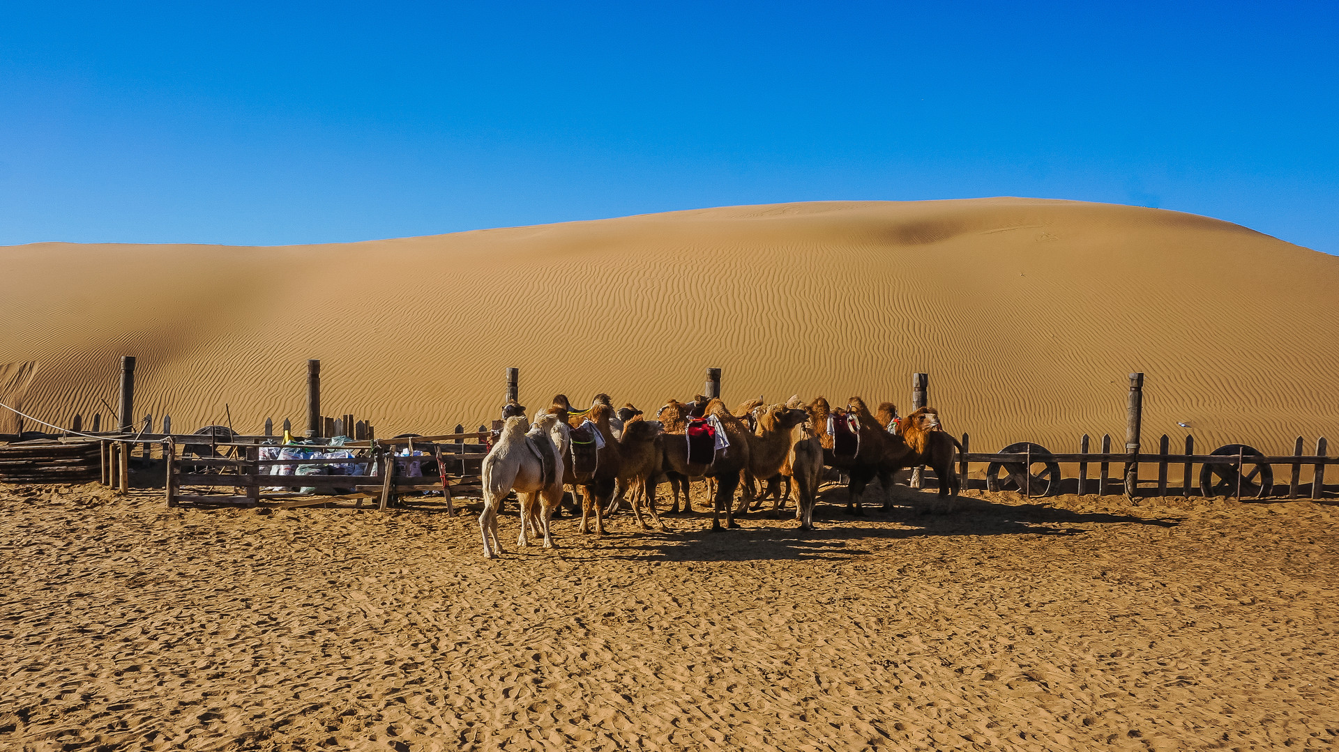 達拉特旗響沙灣封面圖