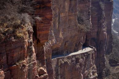 【慢享長安 夢(mèng)回大唐令雙飛5日】兵馬俑·西安博物院·華山·華清宮·長安十二時(shí)辰·鐘鼓樓·秦腔博物館