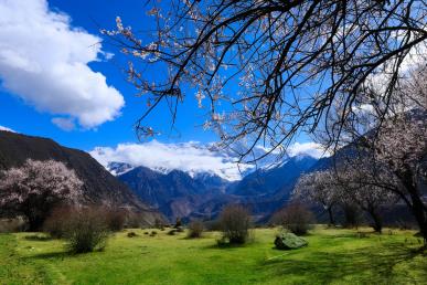 景點：魯朗美景