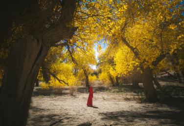 【H8S湖野金塔 青甘風(fēng)物詩雙飛8日】金塔胡楊林·七彩丹霞·莫高窟·鳴沙山·嘉峪關(guān)·翡翠湖·茶卡鹽湖