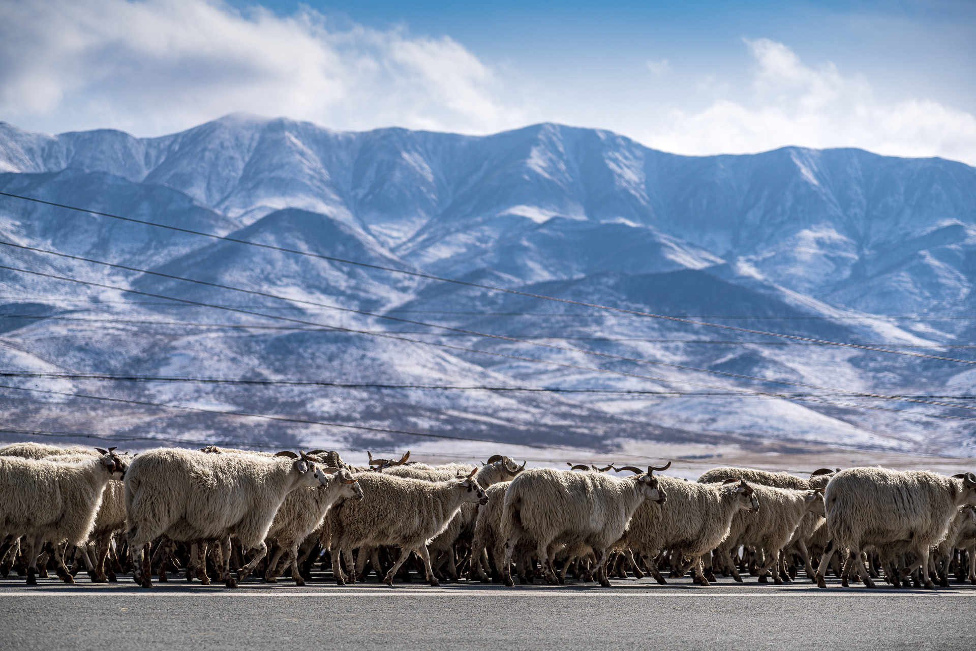 海北地區封面圖