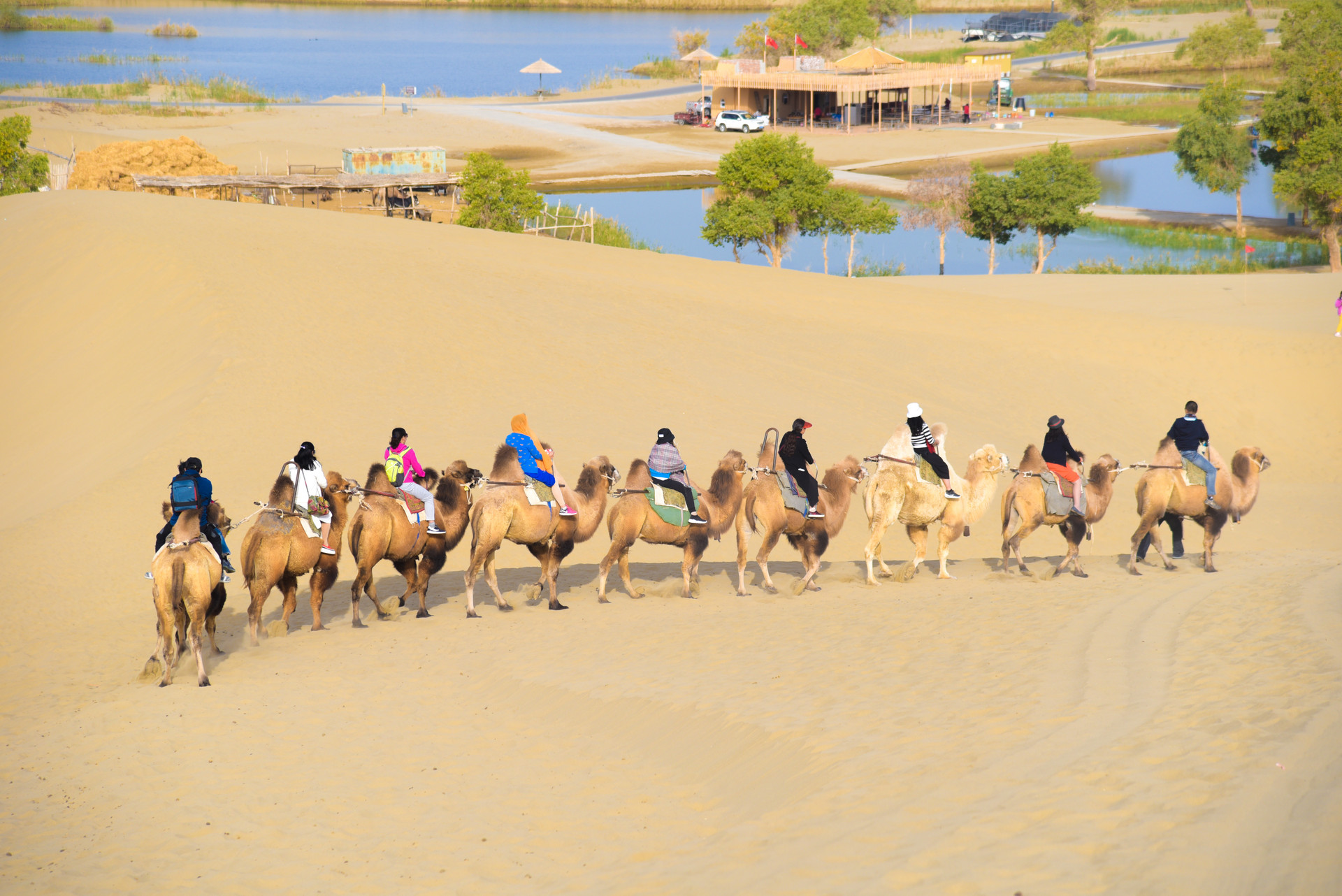 羅布人村寨風光封面圖