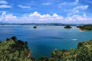 鏡花緣風景封面圖