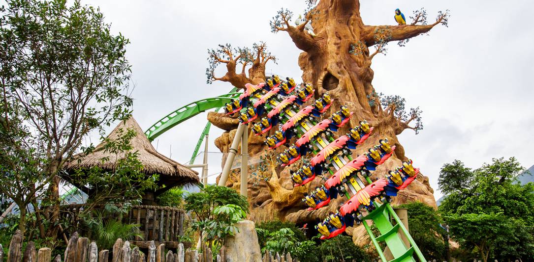 長(zhǎng)隆鸚鵡過(guò)山車封面圖