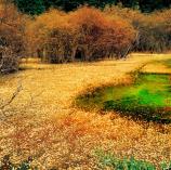 二道?；êD1