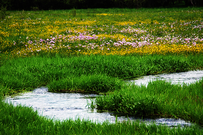 二道?；êD2封面圖